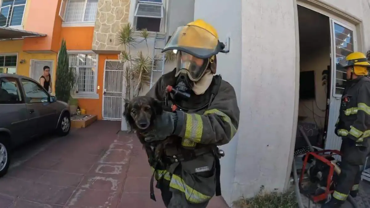 Bomberos de Guadalajara  (2)